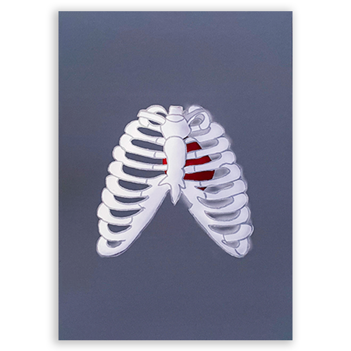 Lungs & Rib Cage Art Print