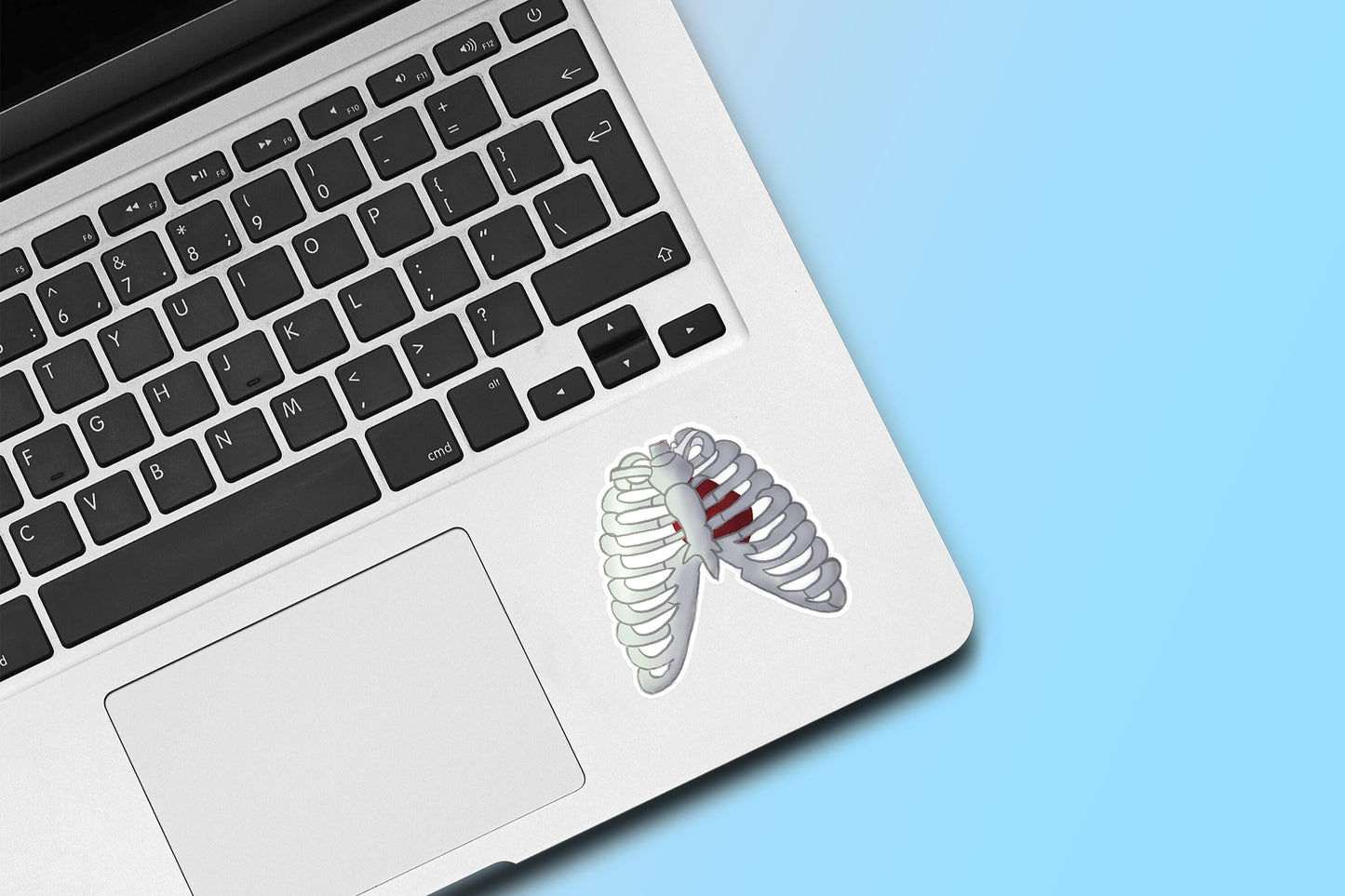 Lungs & Rib Cage Die Cut Sticker
